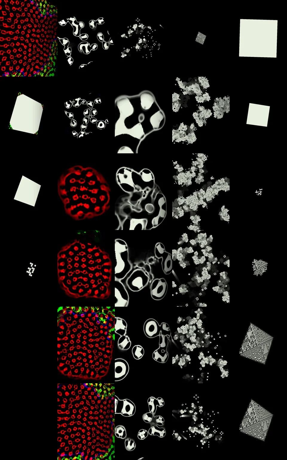 A grid of TouchDesigner digital life forms: red cellular patterns, black and white blobs, pixel clusters and spinning cubes